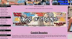 Desktop Screenshot of bigtitcandids.com