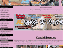 Tablet Screenshot of bigtitcandids.com
